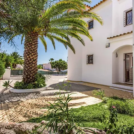 Severino * 阿尔布费拉